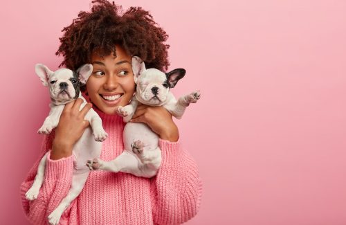 Image of delighted female hostess poses with two cute puppies, looks happily away, takes picture with pets, models over pink background, blank copy space, spend time together. Caring vet indoor